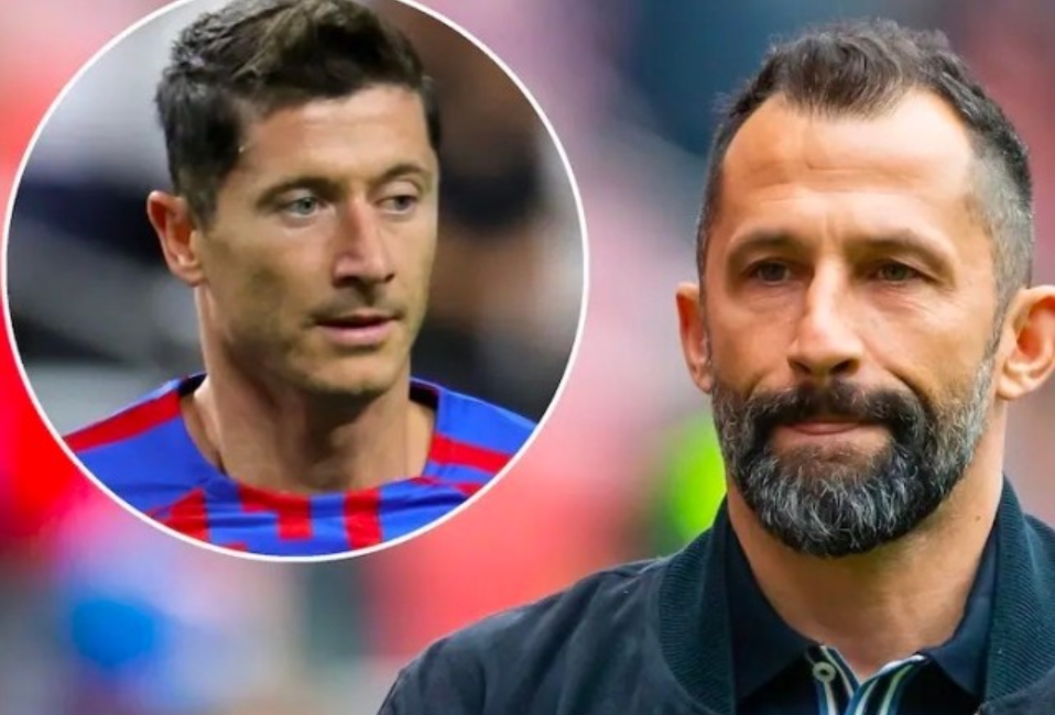 视野开阔 视野开阔